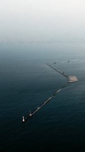 offshore outsourcing advantages