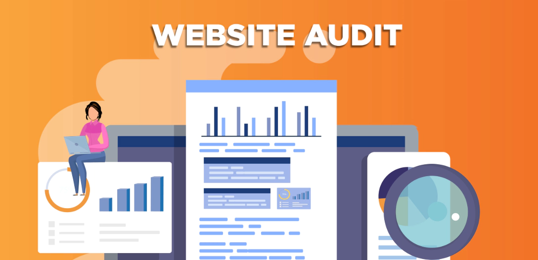 website audit